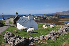 Ard-dhubh