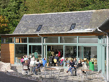 Shop and Cafe